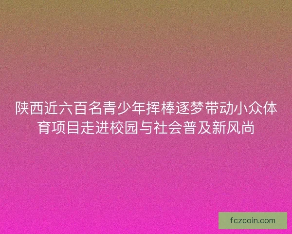陕西近六百名青少年挥棒逐梦带动小众体育项目走进校园与社会普及新风尚